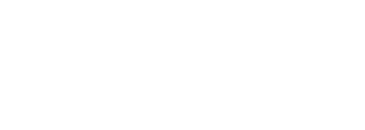 Sick N’ Beautiful logo